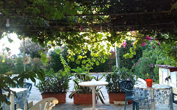 Anna Koralli Studios Laganas Zakynthos 