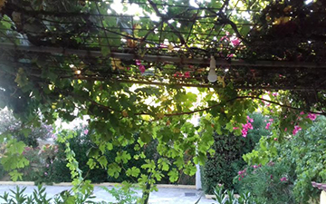 Anna Koralli Studios Laganas Zakynthos 