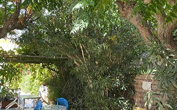 Anna Koralli Studios Laganas Zakynthos 